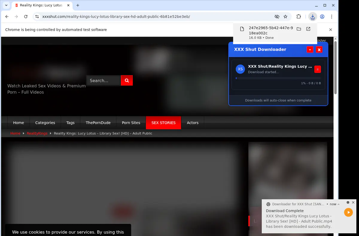 Xxxshut Video Downloader browser extension screenshot 2